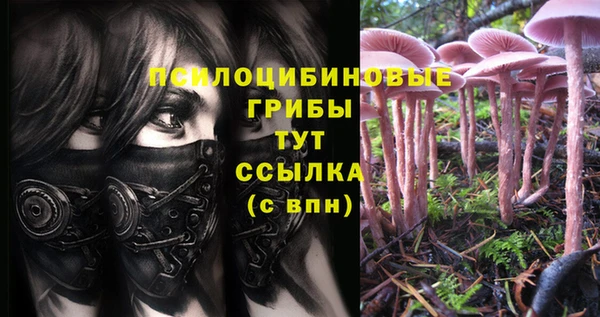 мескалин Арсеньев