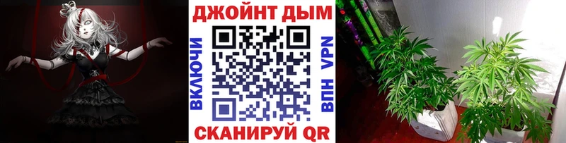 Конопля семена  купить   мориарти какой сайт  Петровск 